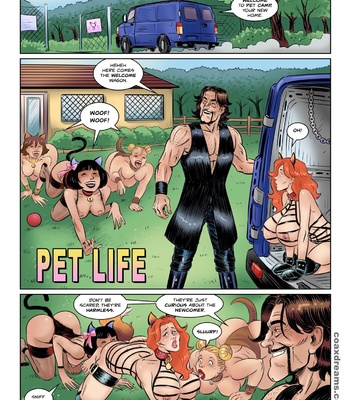 Secret Domination League 5 – Pet Life comic porn sex 6