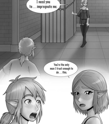 The Legend Of Zelda – A Night With The Princess comic porn sex 6