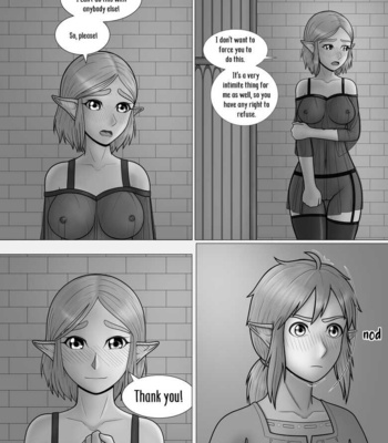 The Legend Of Zelda – A Night With The Princess comic porn sex 7