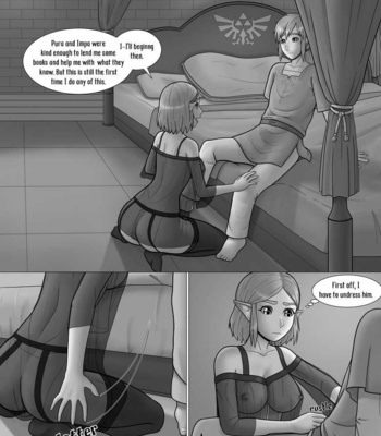 The Legend Of Zelda – A Night With The Princess comic porn sex 8