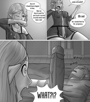 The Legend Of Zelda – A Night With The Princess comic porn sex 13