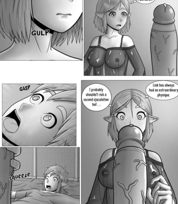 The Legend Of Zelda – A Night With The Princess comic porn sex 14