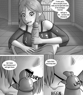 The Legend Of Zelda – A Night With The Princess comic porn sex 15