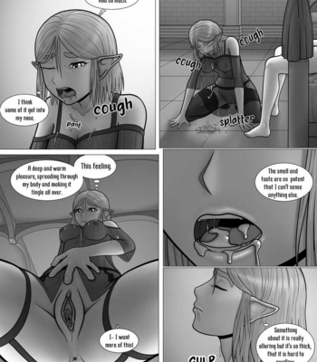 The Legend Of Zelda – A Night With The Princess comic porn sex 20