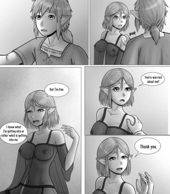 The Legend Of Zelda – A Night With The Princess comic porn sex 21