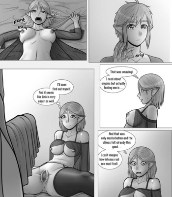 The Legend Of Zelda – A Night With The Princess comic porn sex 30