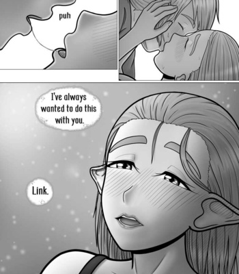 The Legend Of Zelda – A Night With The Princess comic porn sex 37