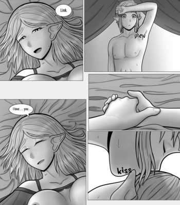 The Legend Of Zelda – A Night With The Princess comic porn sex 47