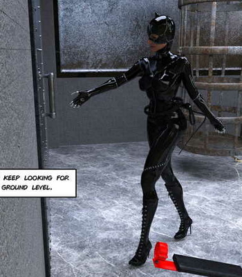 The Disastrous Misadventures Of Catwoman 1 comic porn sex 7