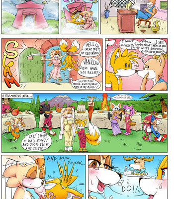Vanilla kidnap 2 – Tails Pays The Price comic porn sex 14